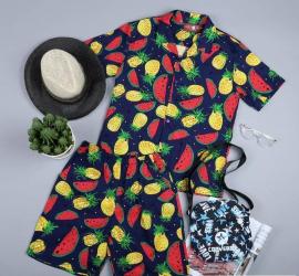 Sơ mi trái cây - quả dứa